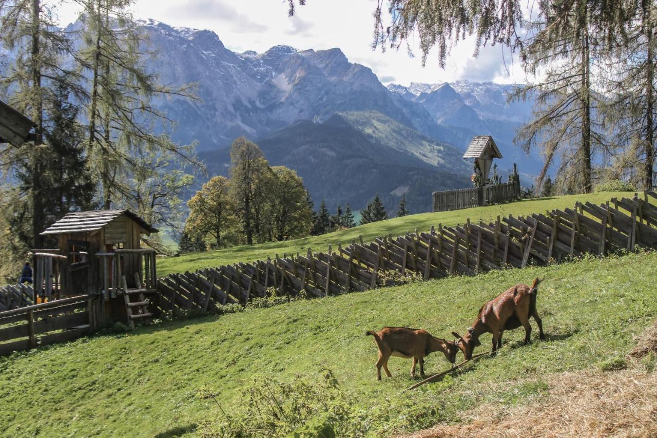 Hotel Haus Kathrin Werfenweng Zewnętrze zdjęcie